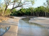river of Sundarban
