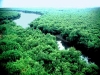 sundarban bangladesh