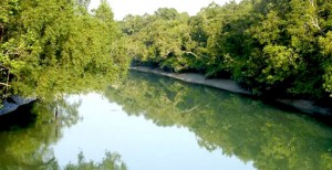 Hiron Point Sundarban