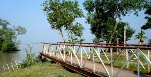 Karamjal Point Sundarbans