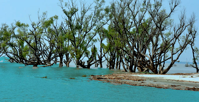 sundarban tour map